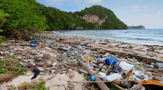 Environmental image 540x300