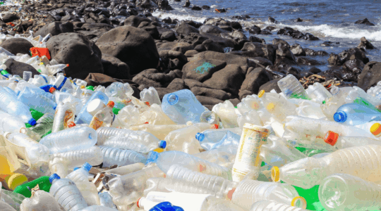 plastic-bottles-litter-beach