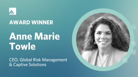 Press-Release-Anne-Marie-Towle